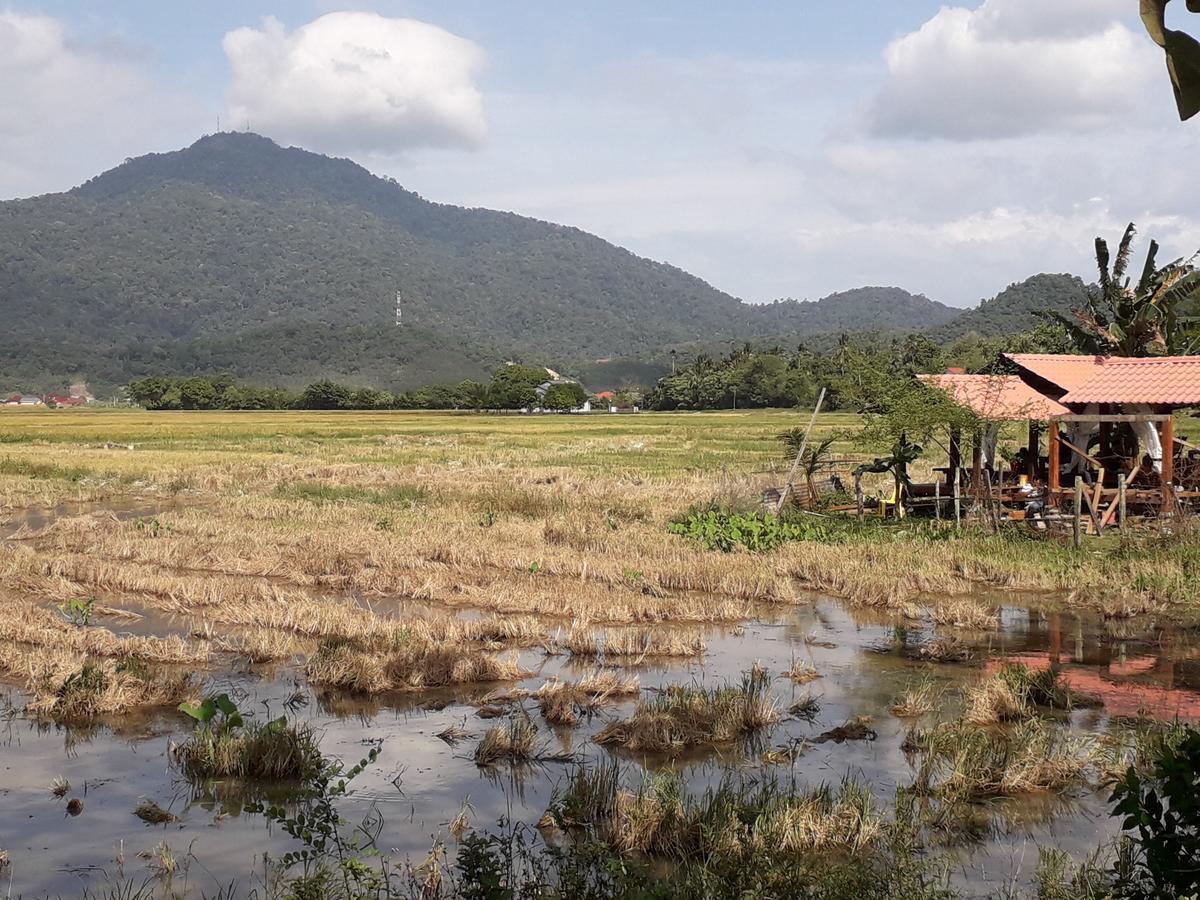 Homestay Pulau Langkawi Пантай Ченанг Екстериор снимка
